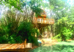 Waterfront Treehouse in a Magical Forest